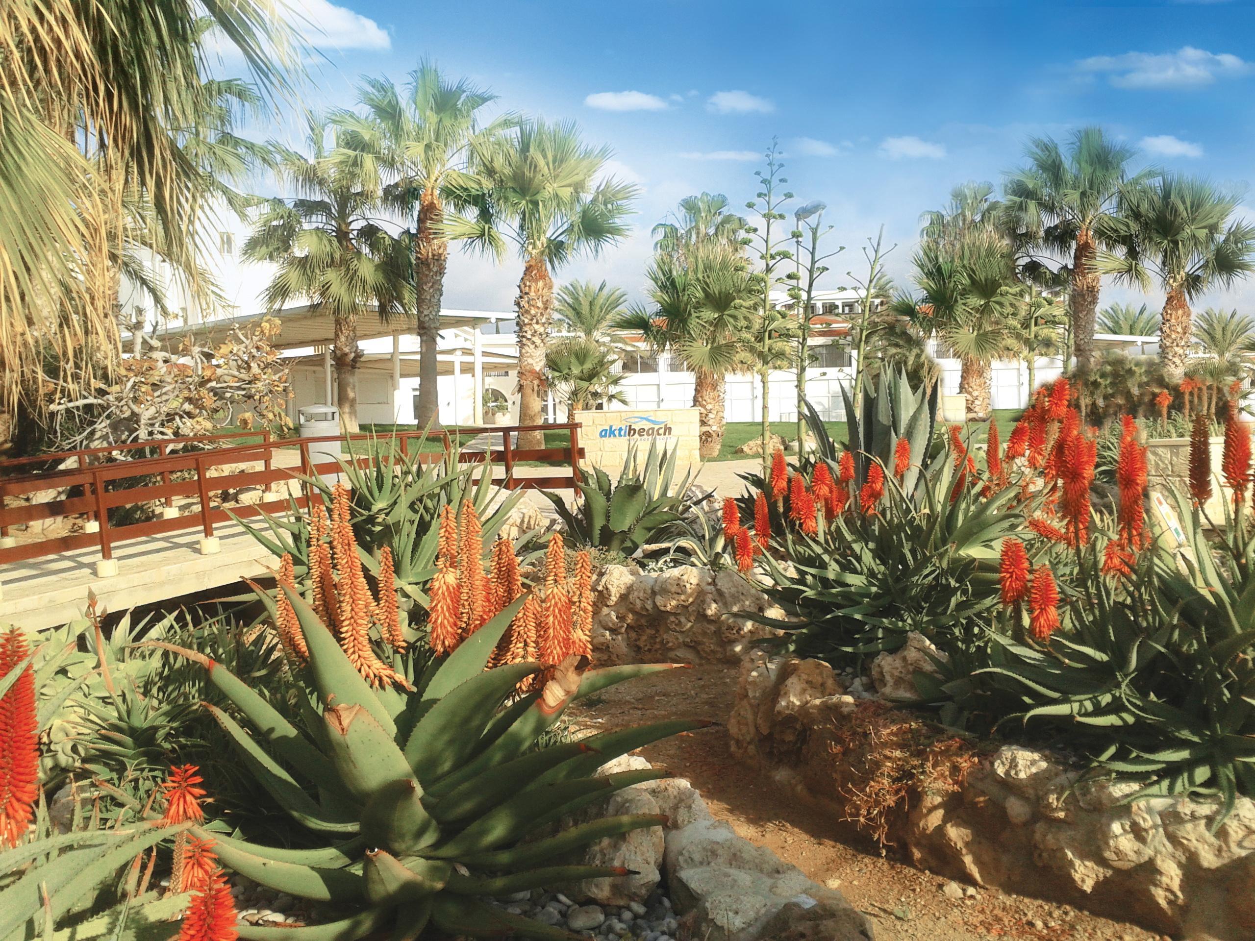 Akti Beach Hotel & Village Resort Klorakas Dış mekan fotoğraf
